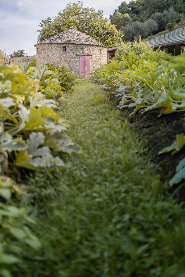 Agriturismo La Derta Villa Bellagio Bagian luar foto