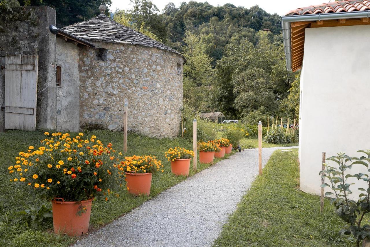 Agriturismo La Derta Villa Bellagio Bagian luar foto